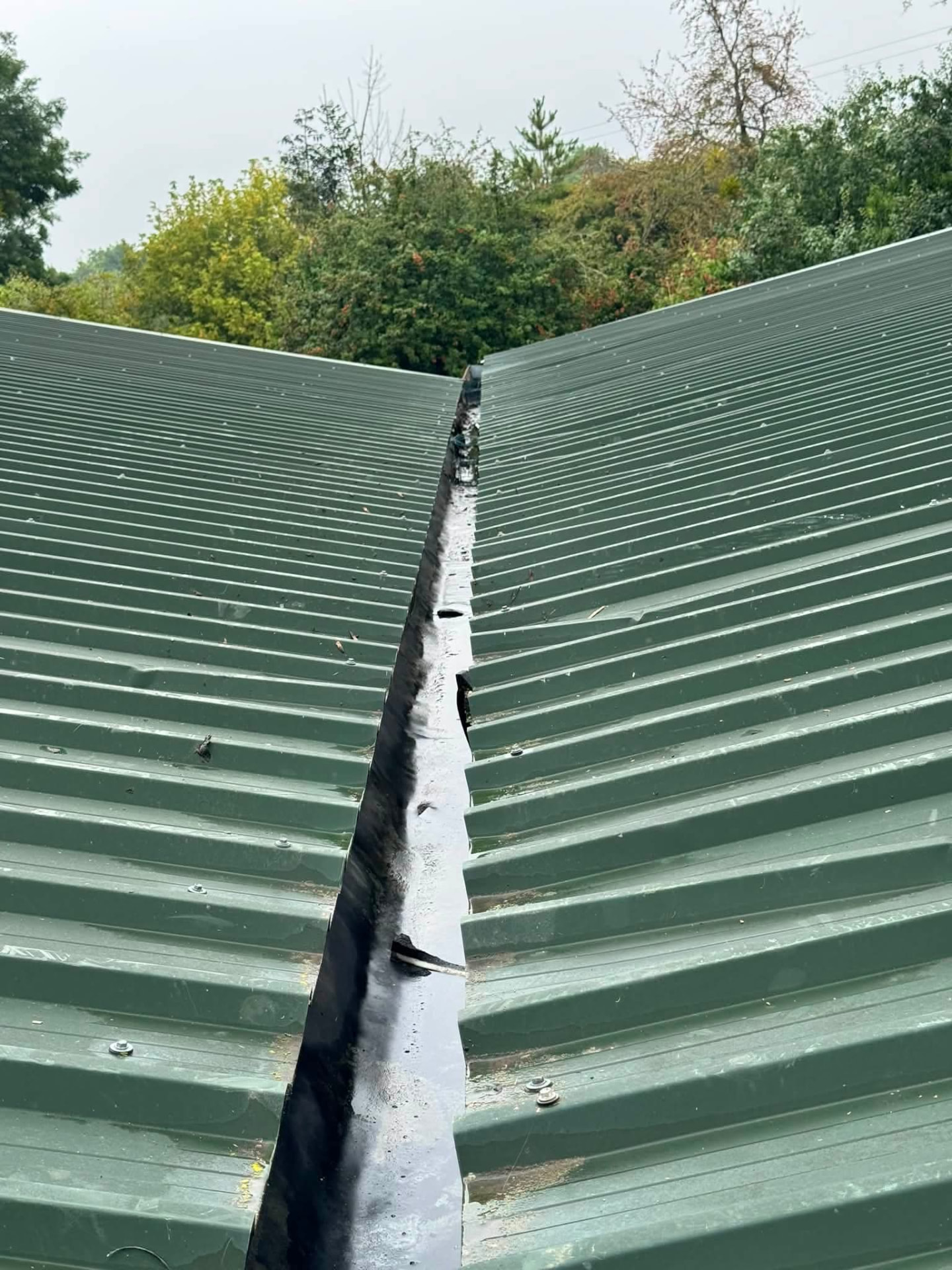 Metal roof valley gutter with moss and debris before cleaning
